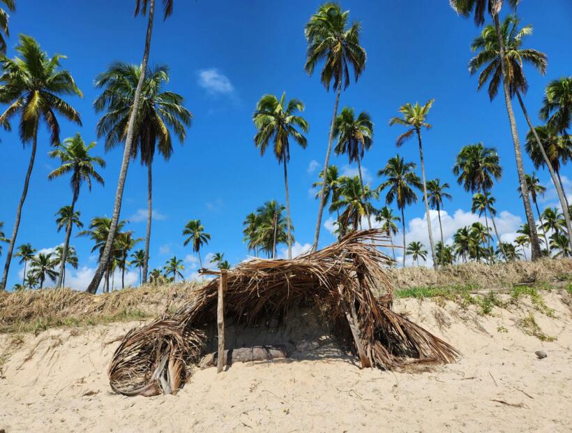 Czy podróż do Brazylii może mieć jakieś wady?