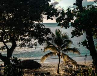 Czy warto lecieć na Jamajkę?