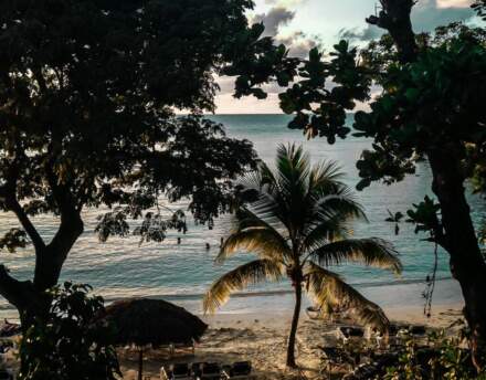 Czy warto lecieć na Jamajkę?