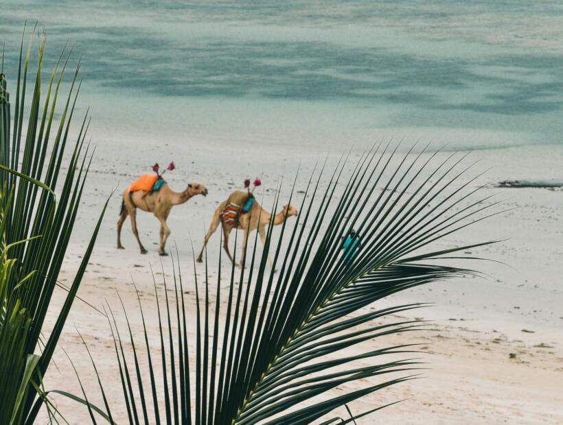 Kenia dla plażowiczów. Co proponuje?