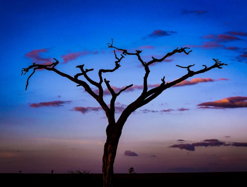 Czy podróż do Kenii może mieć jakieś wady?