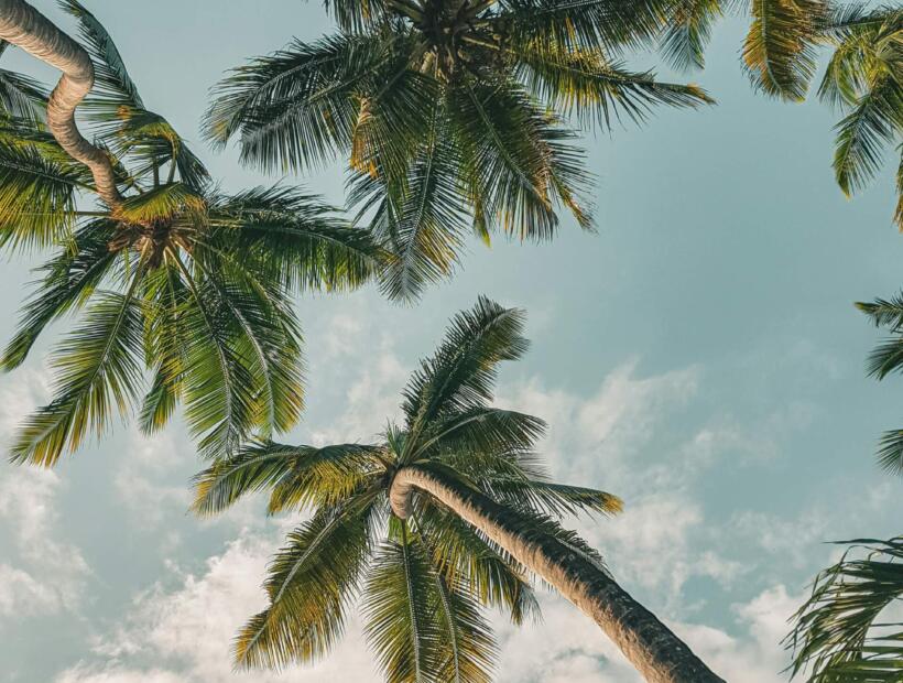 Moje podsumowanie - warto czy nie warto polecieć do Kenii?