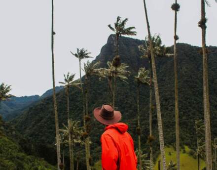 Czy warto lecieć do Kolumbii?