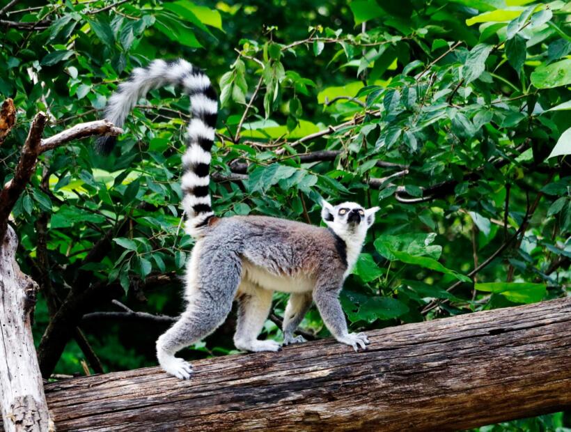 Lokalny styl życia, zwyczaje, ciekawostki. Czym kusi to miejsce?