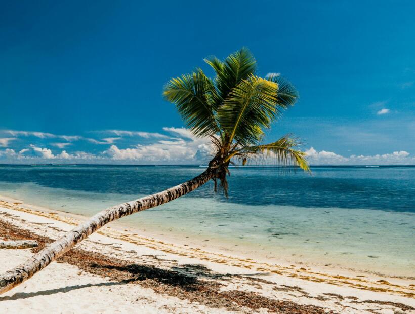 Czy podróż na Seszele może mieć jakieś wady?