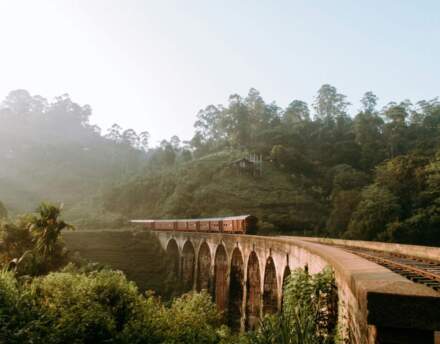 Czy warto lecieć na Sri Lankę?