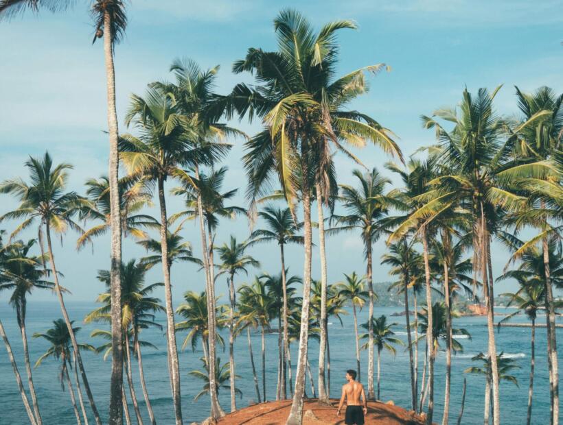 Moje podsumowanie - warto czy nie warto polecieć na Sri Lankę?