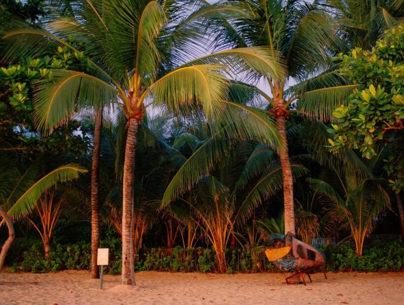 Tajlandia dla plażowiczów. Co proponuje?