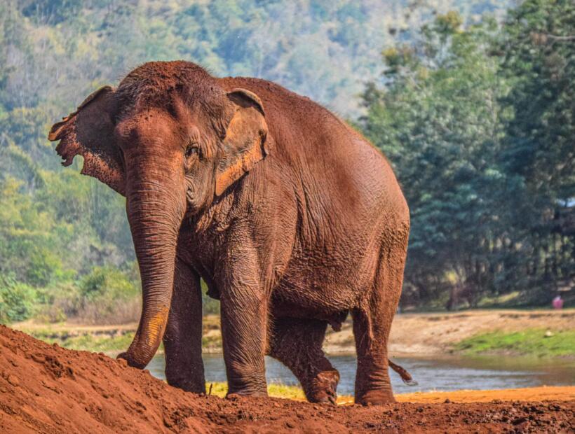 Lokalny styl życia, zwyczaje, ciekawostki. Czym kusi to miejsce?