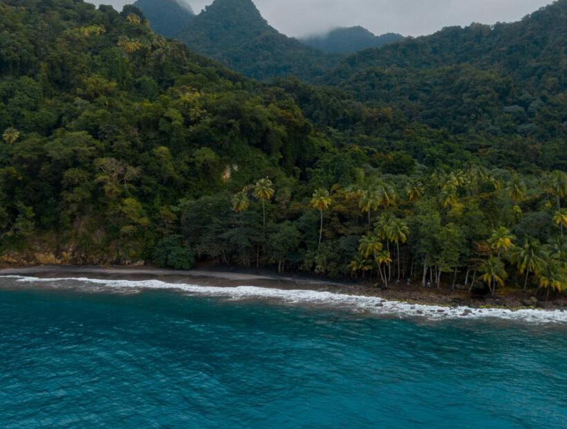 Martynika dla zwiedzających. Co proponuje?
