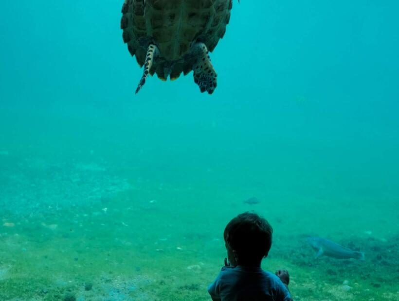 Moje podsumowanie - warto czy nie warto polecieć na Reunion?