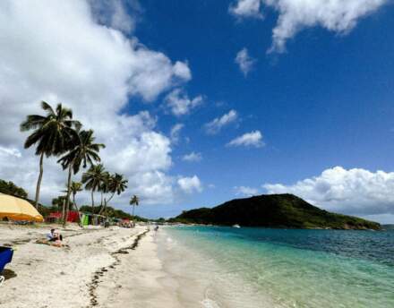 Czy warto lecieć na Saint Kitts i Nevis?
