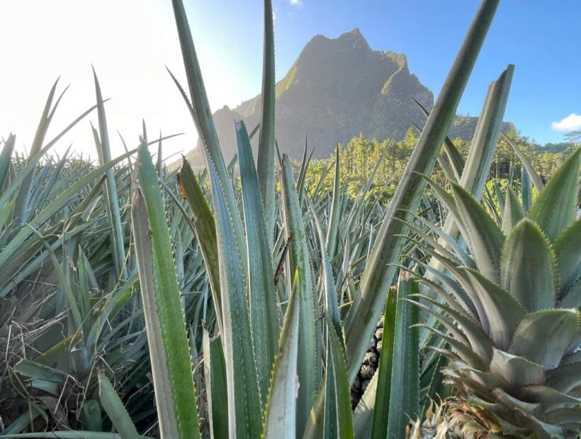 Lokalny styl życia, zwyczaje, ciekawostki. Czym kusi to miejsce?