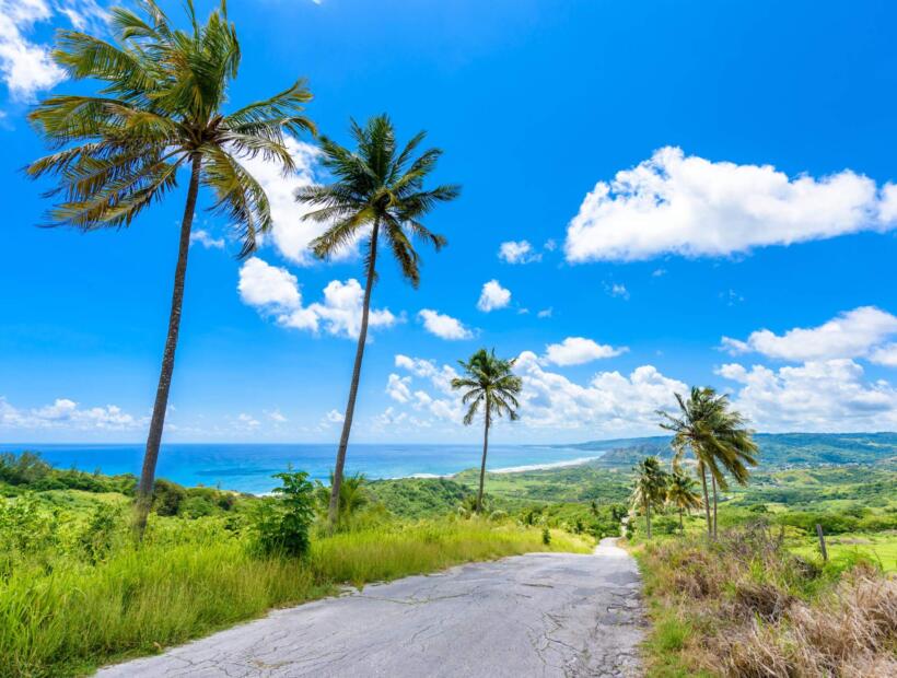 Na co zwrócić uwagę podróżując na Barbados na własną rękę z dziećmi
