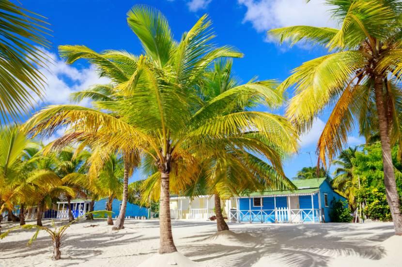 Jakie ubezpieczenie wybrać na podróż na Dominikanę na własną rękę