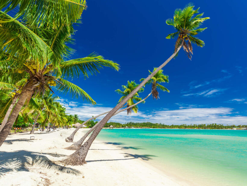 Na co zwrócić uwagę podróżując na Fidżi na własną rękę z dziećmi