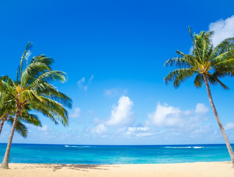 Na co zwrócić uwagę podróżując na Hawaje na własną rękę z dziećmi