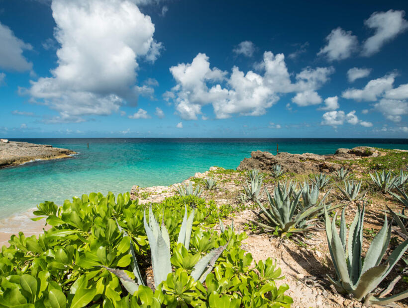 Jakie ubezpieczenie wybrać na podróż na Anguillę na własną rękę