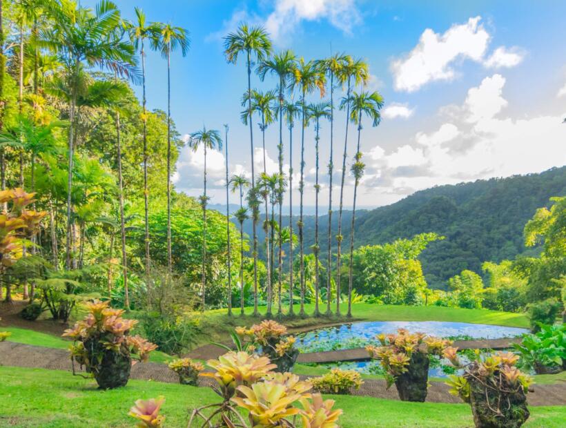 Jakie ubezpieczenie wybrać na podróż na Martynikę na własną rękę