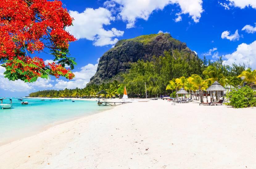 Na co zwrócić uwagę podróżując na Mauritius na własną rękę z dziećmi