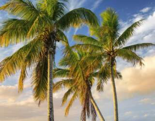 Organizacja wakacji w Nowej Kaledonii na własną rękę. Wszystko co warto wiedzieć