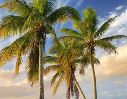 Organizacja wakacji w Nowej Kaledonii na własną rękę. Wszystko co warto wiedzieć