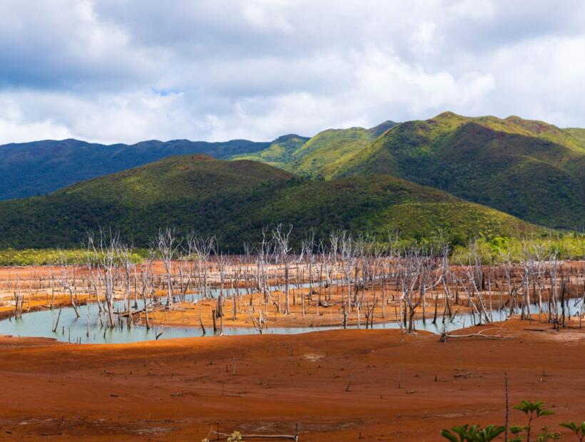 Na co zwrócić uwagę podróżując do Nowej Kaledonii na własną rękę z dziećmi