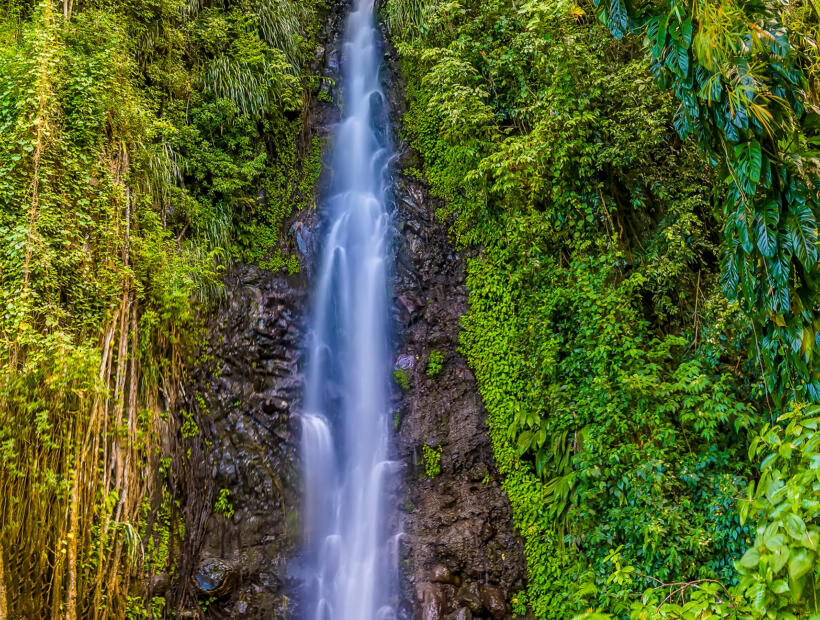 Organizacja przelotów na Saint Vincent i Grenadyny na własną rękę
