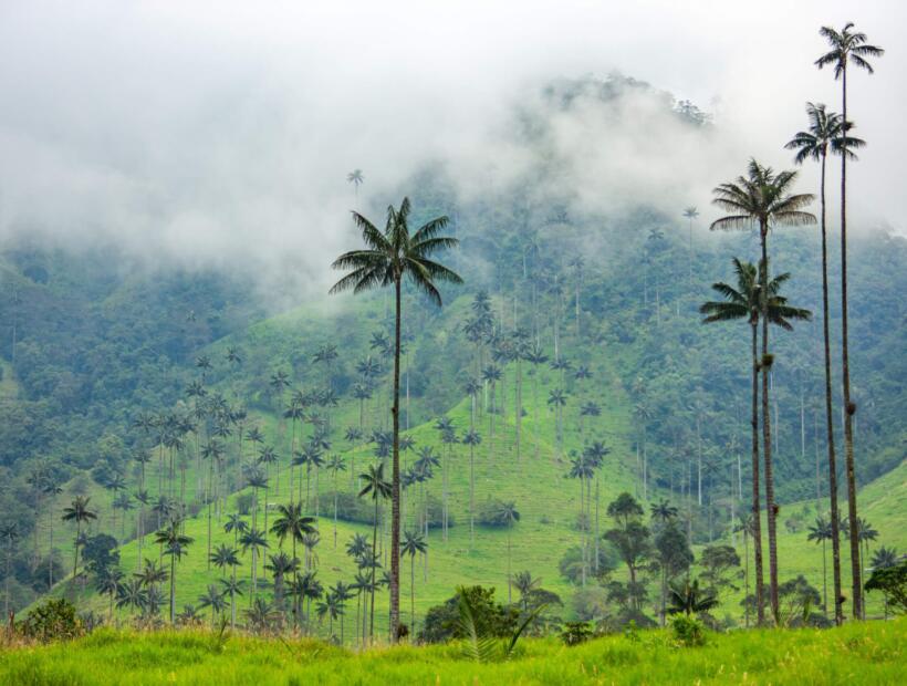 Czy samodzielne szukanie lotów do Kolumbii może być tańsze od wycieczek zorganizowanych?