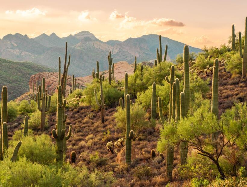 Co wpływa na długość lotu do Meksyku?